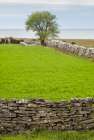 Sweden-Gotland Island-Sundre-stone wall-southern Gotland Art Print